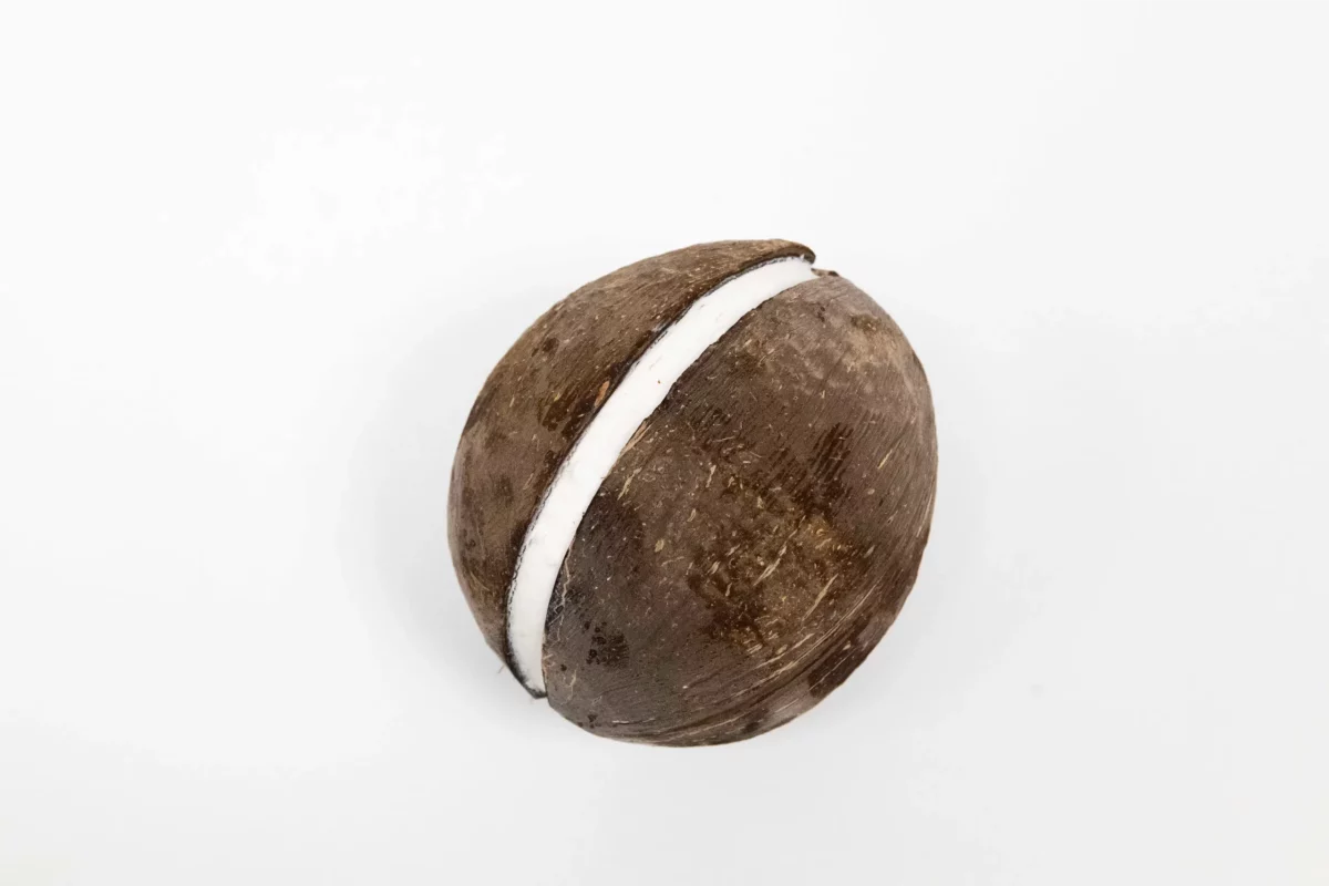 Fruit givré noix de coco lyon